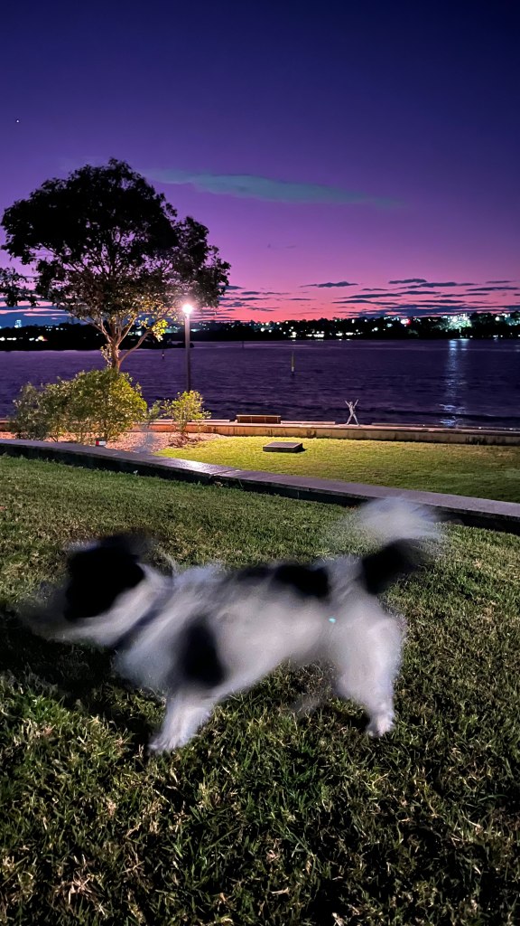 mill park rhodes sydney australia purple sunset no filter