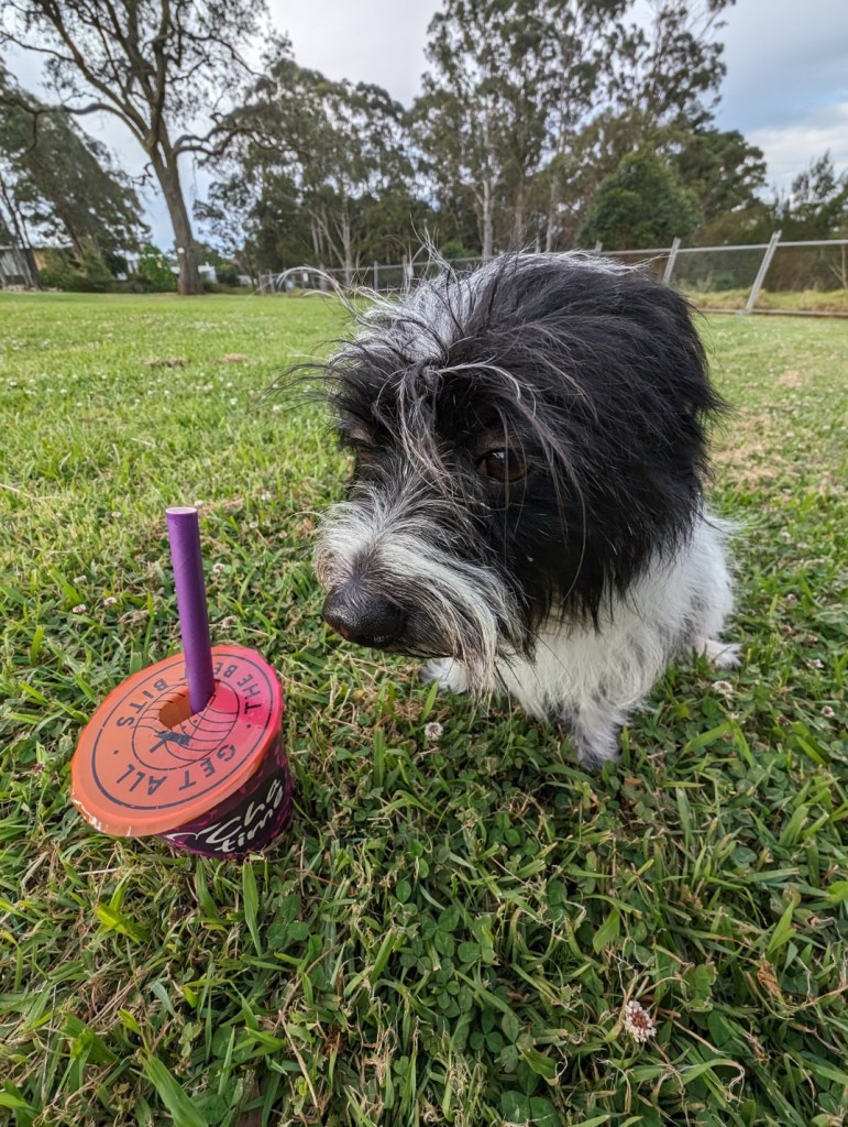 macquarie lake - chatime